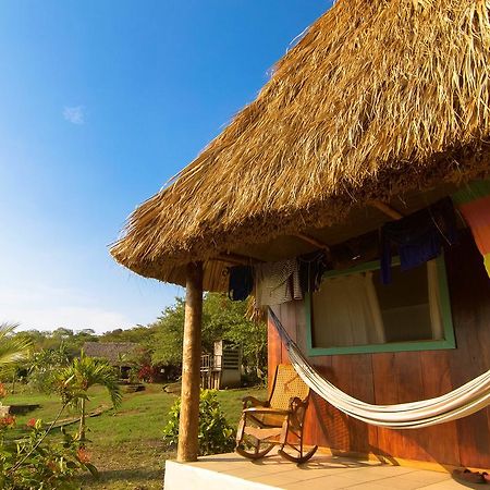 Coco Loco Eco-Resort Gemastepe Esterno foto